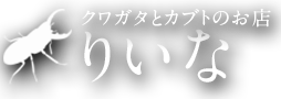 りいな