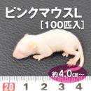 【送料無料】【富城物産・クール便発送】ピンクマウス Lサイズ / 100匹入り