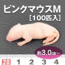 【送料無料】【富城物産・クール便発送】ピンクマウス Mサイズ / 100匹入り